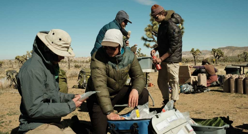 four people complete camp tasks in Joshua Tree National Park